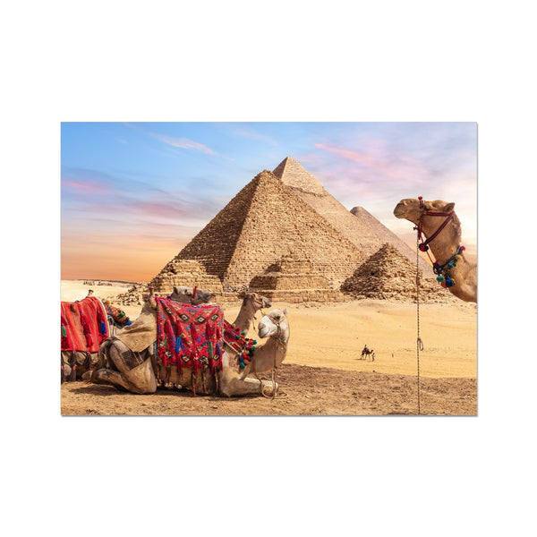 Camels in Egypt Wall Art Poster
